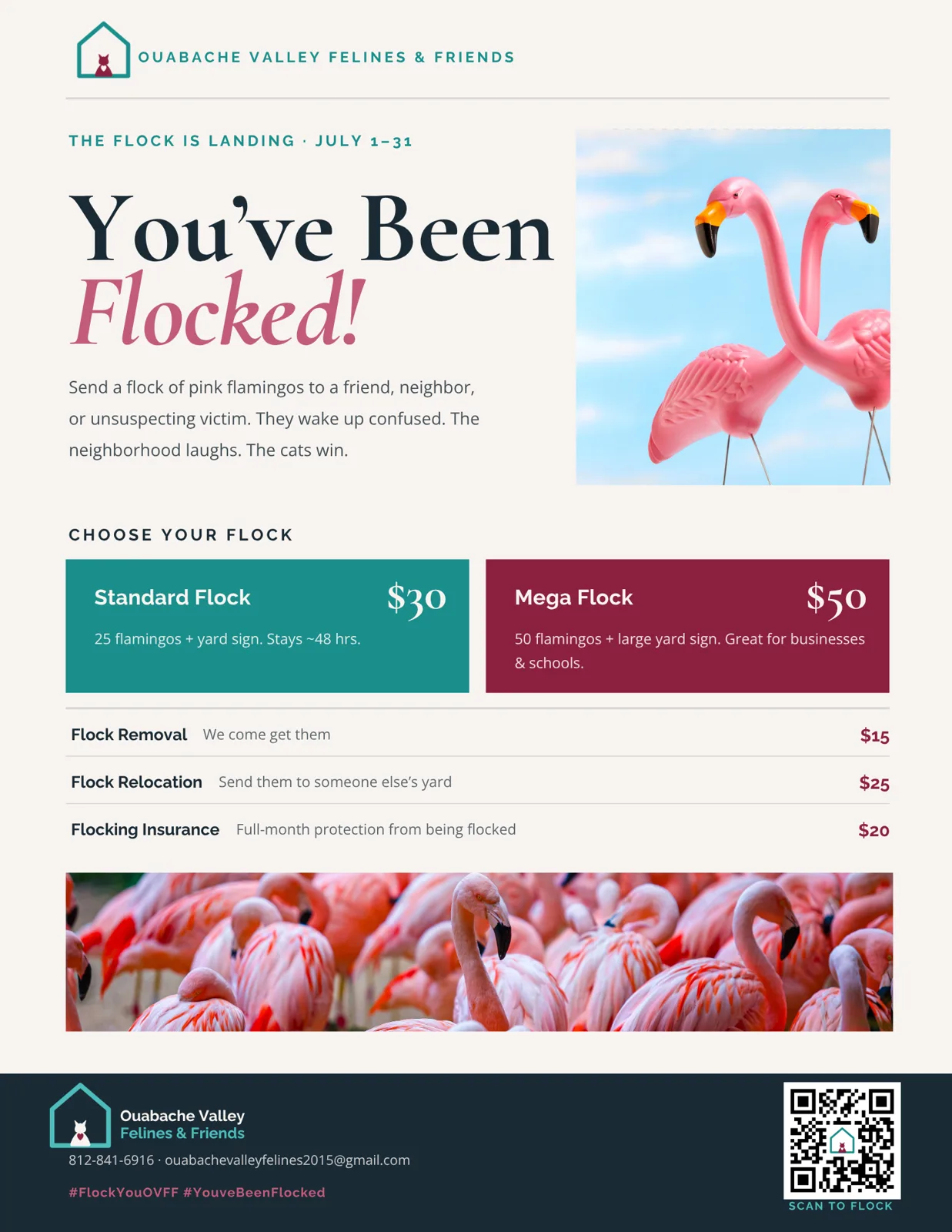 Flyer: You've Been Flocked! with flock options and prices