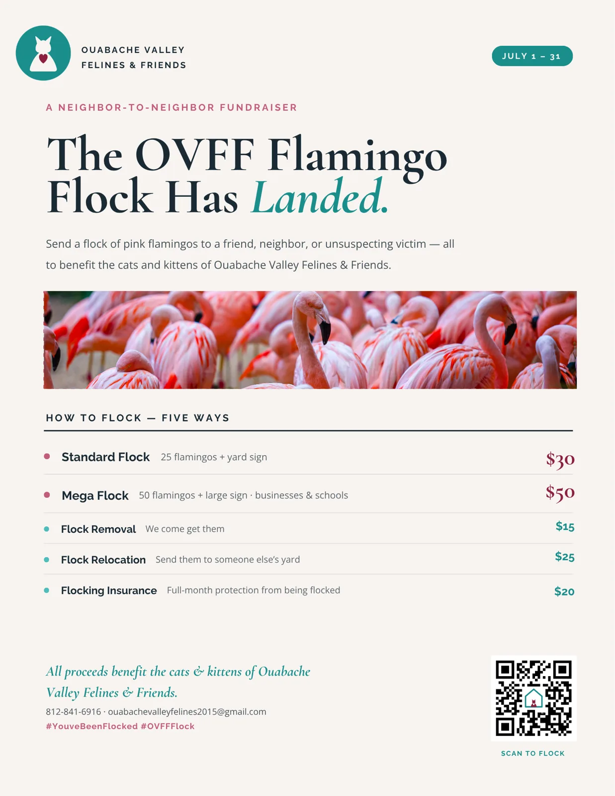 Flyer: The OVFF Flamingo Flock Has Landed, listing five ways to flock