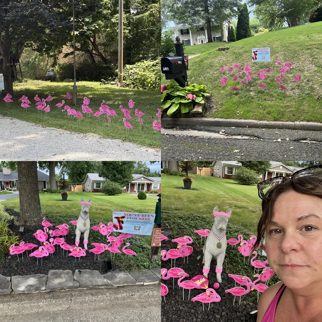 Grid of four flocked yards full of pink flamingos