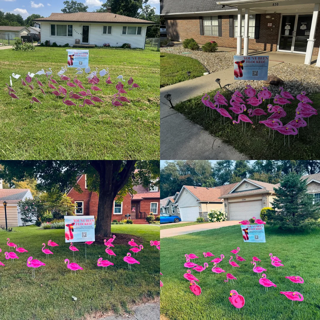 Grid of four flocked yards full of pink flamingos