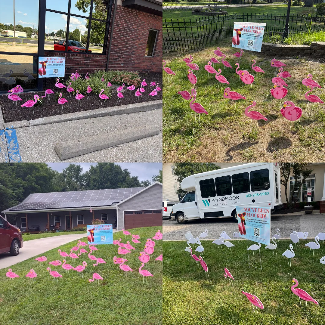 Grid of four flocked yards full of pink flamingos