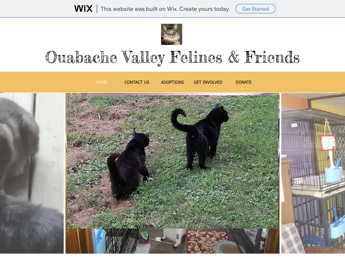 Old OVFF homepage on Wix: an ad banner, a photo collage and a long paragraph